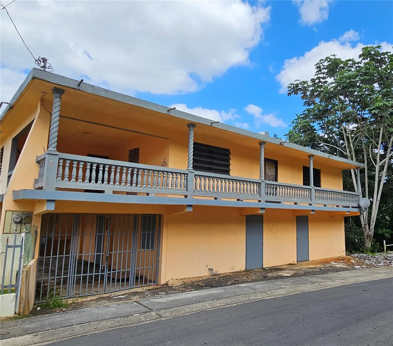 Parc. 44 INT. ROAD 567, San Lorenzo, Morovis, Puerto Rico 00687, ,Residential Income,For Sale,INT. ROAD 567,PR9105663