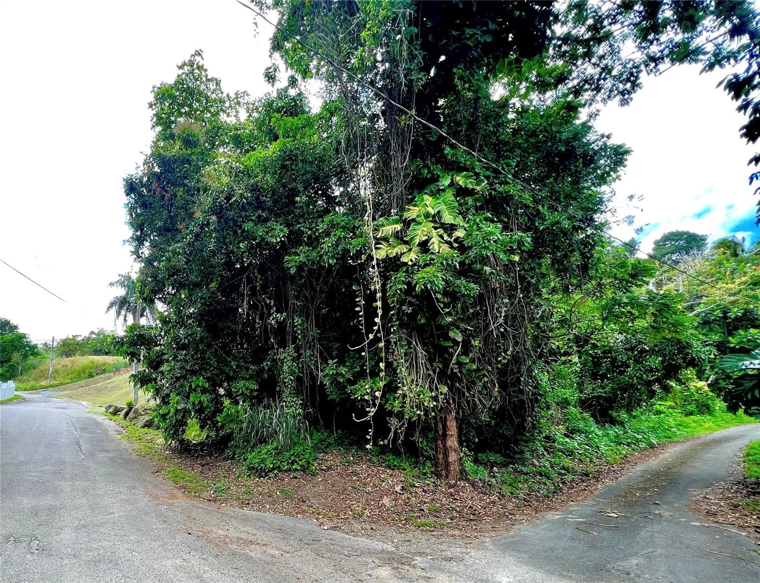 142 St. KM 5.9 INT. BO. RÍO LAJAS, Toa Alta, Puerto Rico 00953, ,Land,For Sale,KM 5.9 INT. BO. RÍO LAJAS,PR9105866